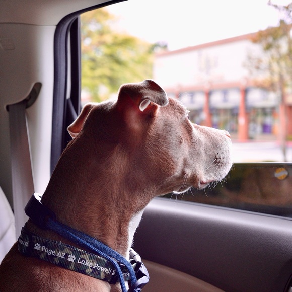 Meet your Posher, Emily - Picture 7 of 7